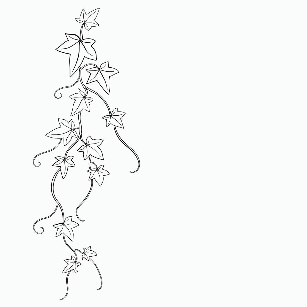 bloemen klimop tekening decoratief ornament vlak ontwerp. vector