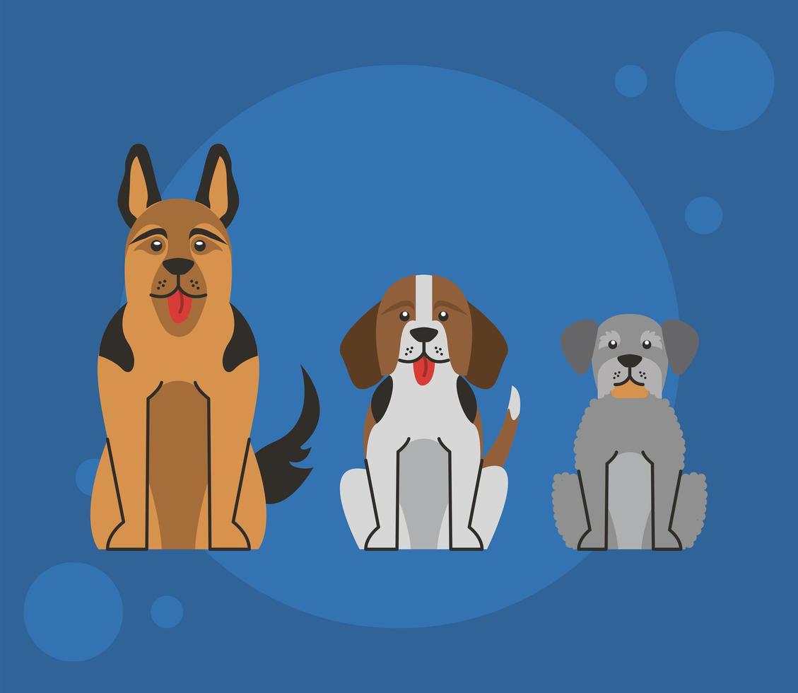 drie honden karakters vector
