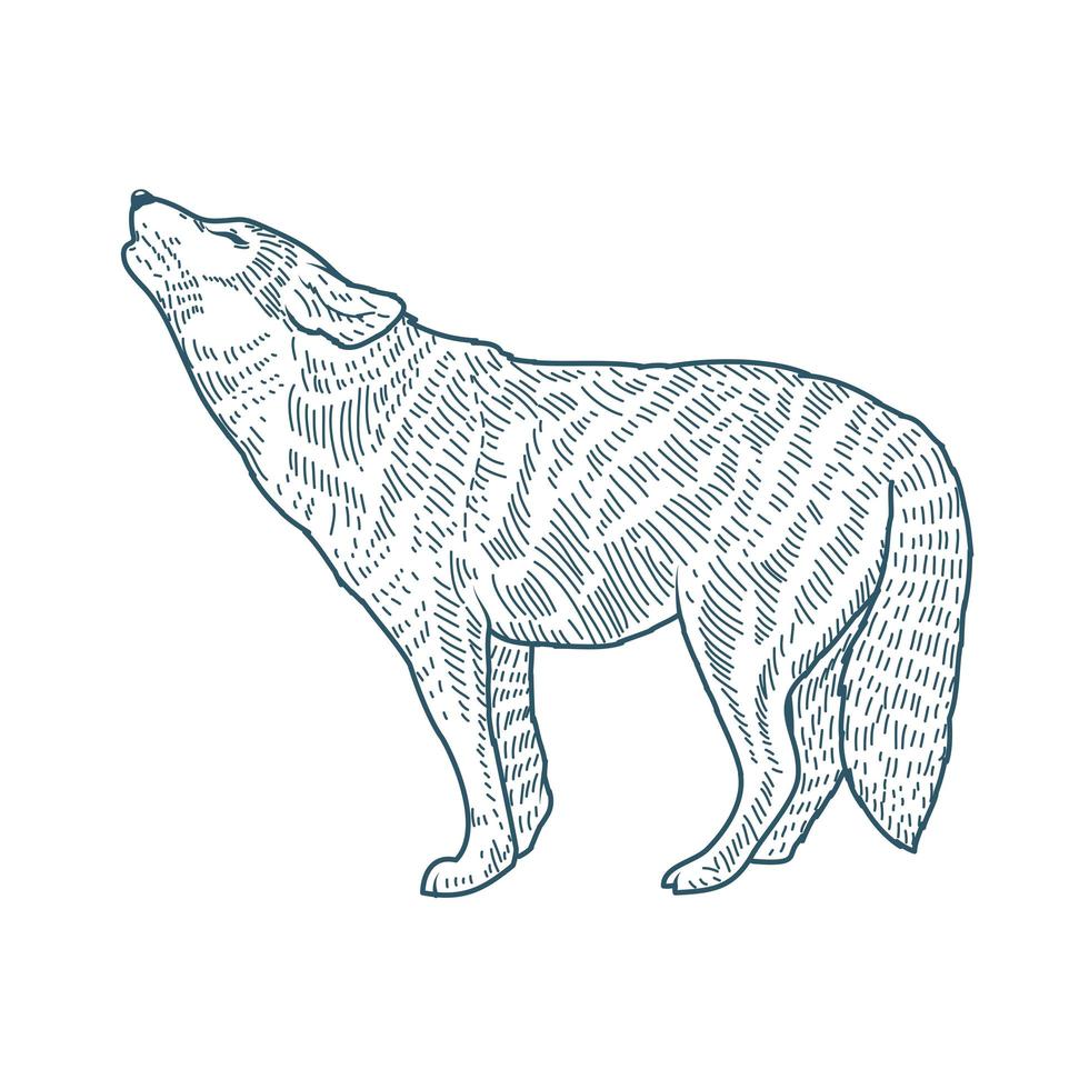 wolf realistisch karakter getekend stijlicoon vector