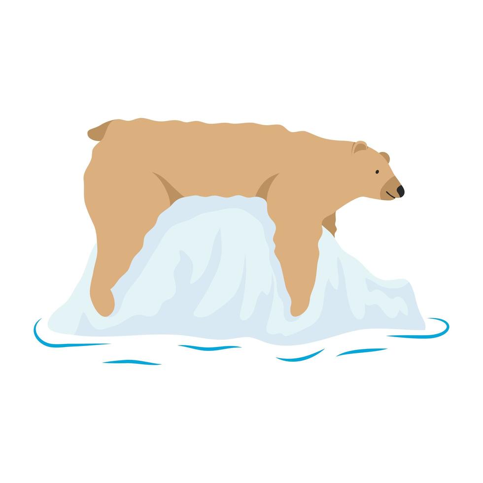 ijsbeer wild dier in ijsberg icoon vector