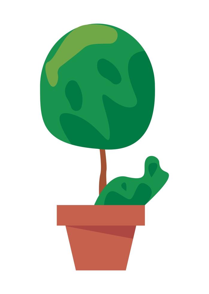 plant in pot vector