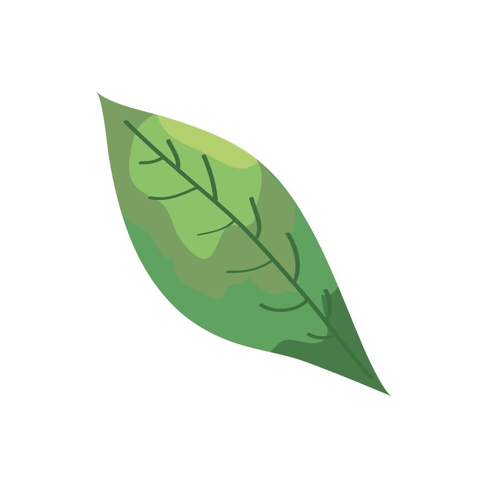blad natuur plant ecologie icon vector