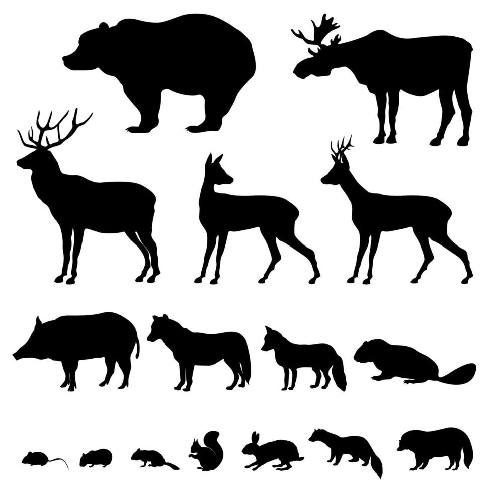 dieren die in het Europese bos leven. dieren in het wild icon set van silhouet. vector