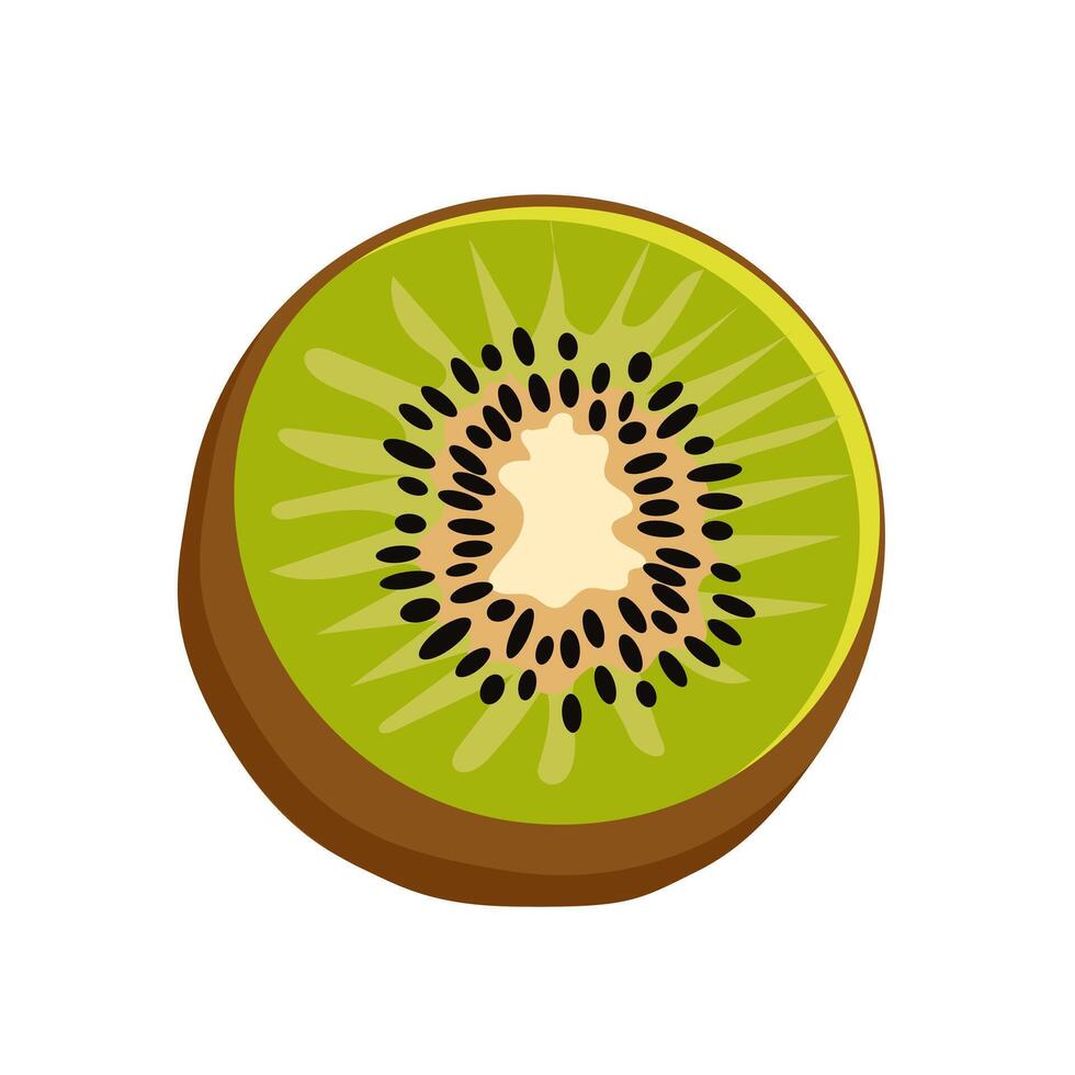 sappig en gezond voor de helft een groen kiwi geïsoleerd Aan wit achtergrond. vector fruit illustratie in vlak stijl. zomer clip art voor ontwerp van kaart, banier, folder, uitverkoop, poster, pictogrammen