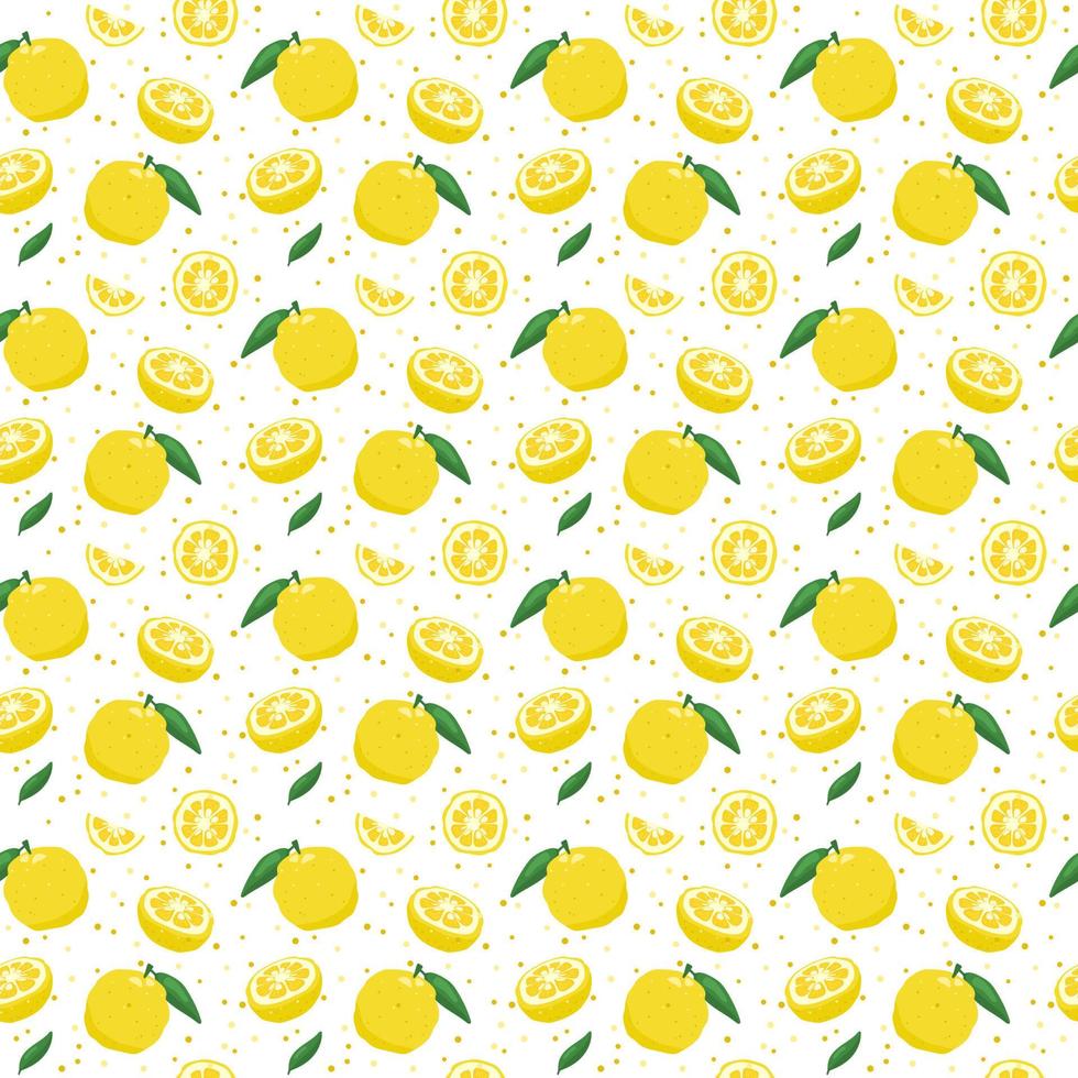 yuzu Japanse citron fruit naadloze patroon vectorillustratie geïsoleerd op een witte achtergrond. vector
