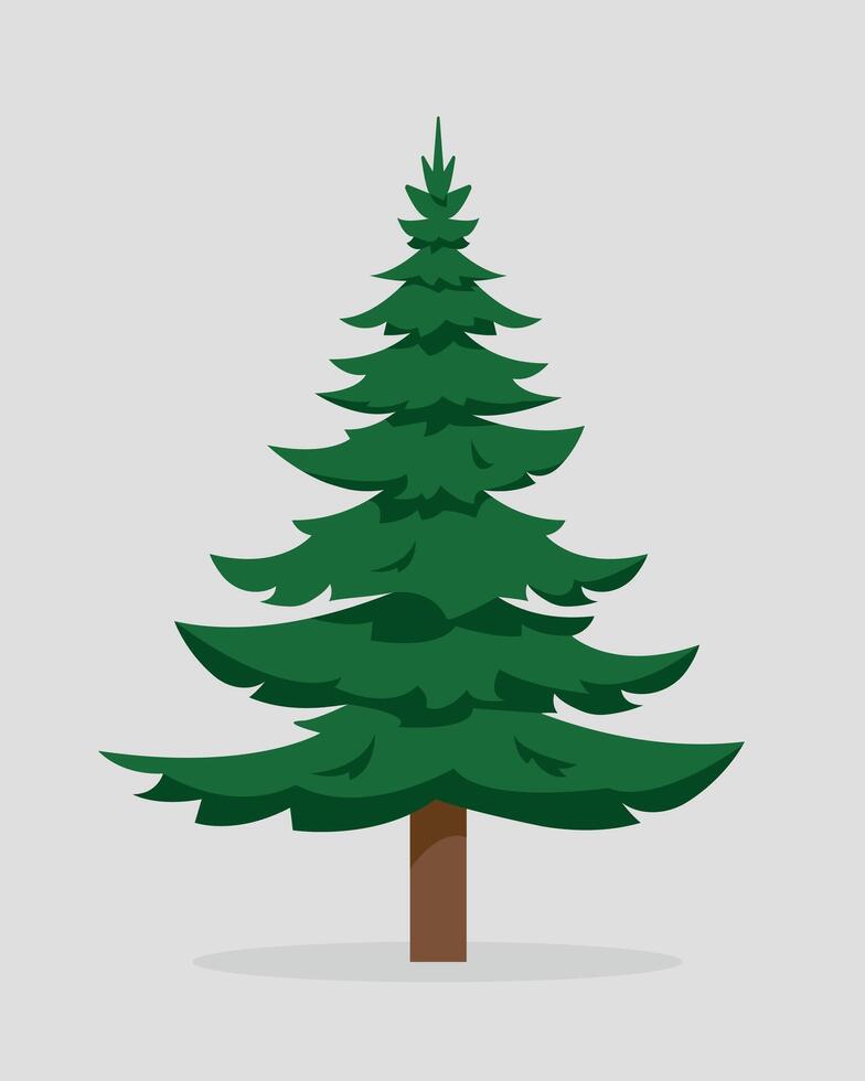 Spar boom geïsoleerd Aan wit achtergrond. groenblijvend boom voor natuur of Kerstmis ontwerp. vector vlak of tekenfilm illustratie.