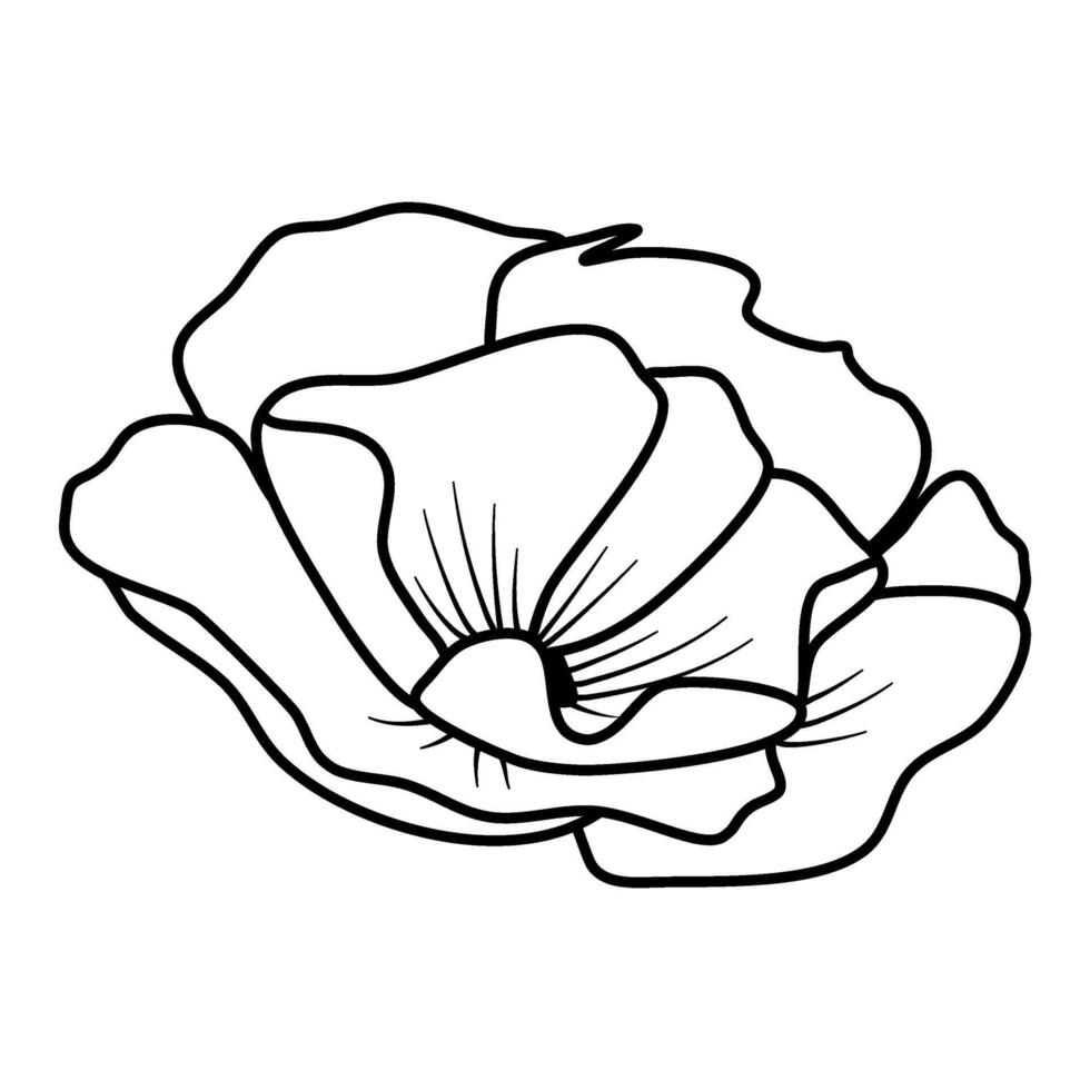 bloem vector illustratie sakura kers bloesem bloemen lijn kunst