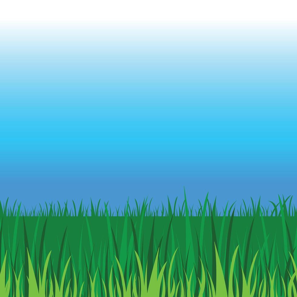 leeg blauw lucht en hoog groen grassen kopiëren uit elkaar geplaatst vector illustratie achtergrond geïsoleerd Aan plein sjabloon.