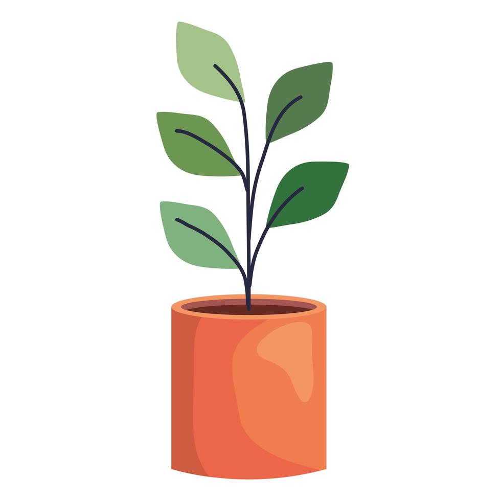 plant in aarden pot vector