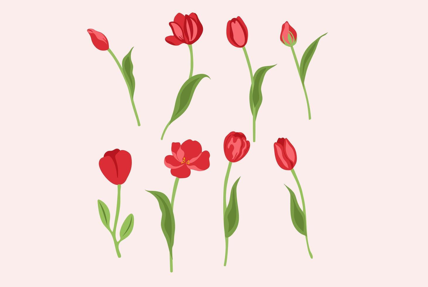 tulp voorjaar bloem vector