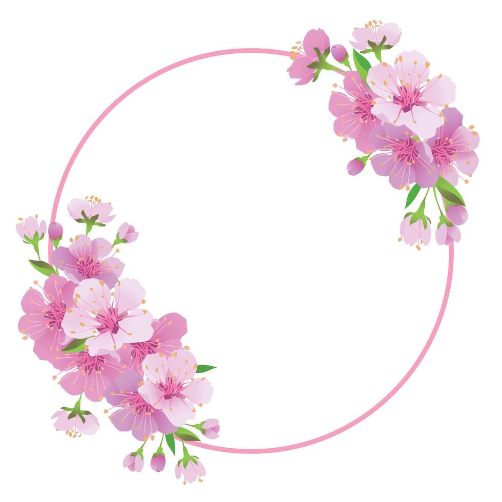 vector krans van sakura. ronde kader met takken van kers bloeit. roze edo-higan bloemen Aan een wit achtergrond. samenstelling voor een bruiloft uitnodiging, Gefeliciteerd Aan moeder dag.