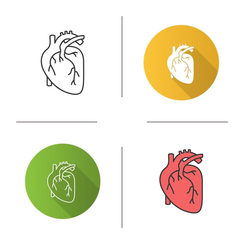 menselijk hart anatomie pictogram. plat ontwerp, lineaire en kleurstijlen. geïsoleerde vectorillustraties vector