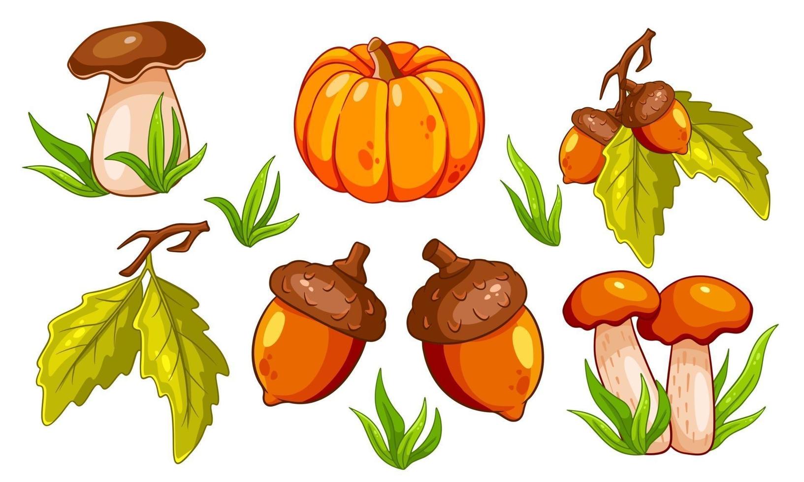 herfst set. champignons, pompoen, eikels, gras, eikenbladeren. vector