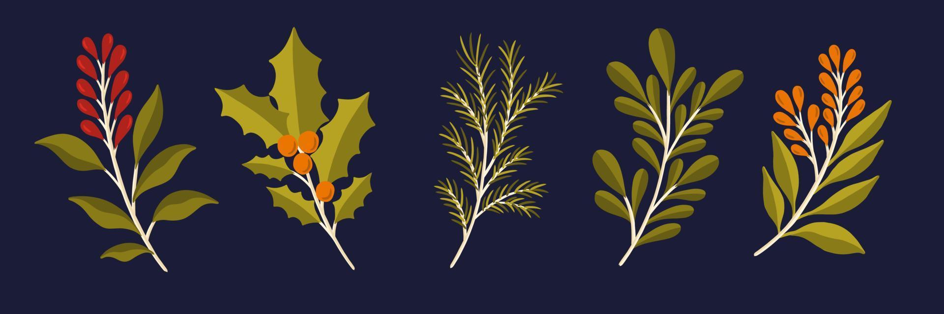 kerst bloemen plant set. nieuwjaar 2021 collectie tak leaf.decoration botanisch ontwerp. vector