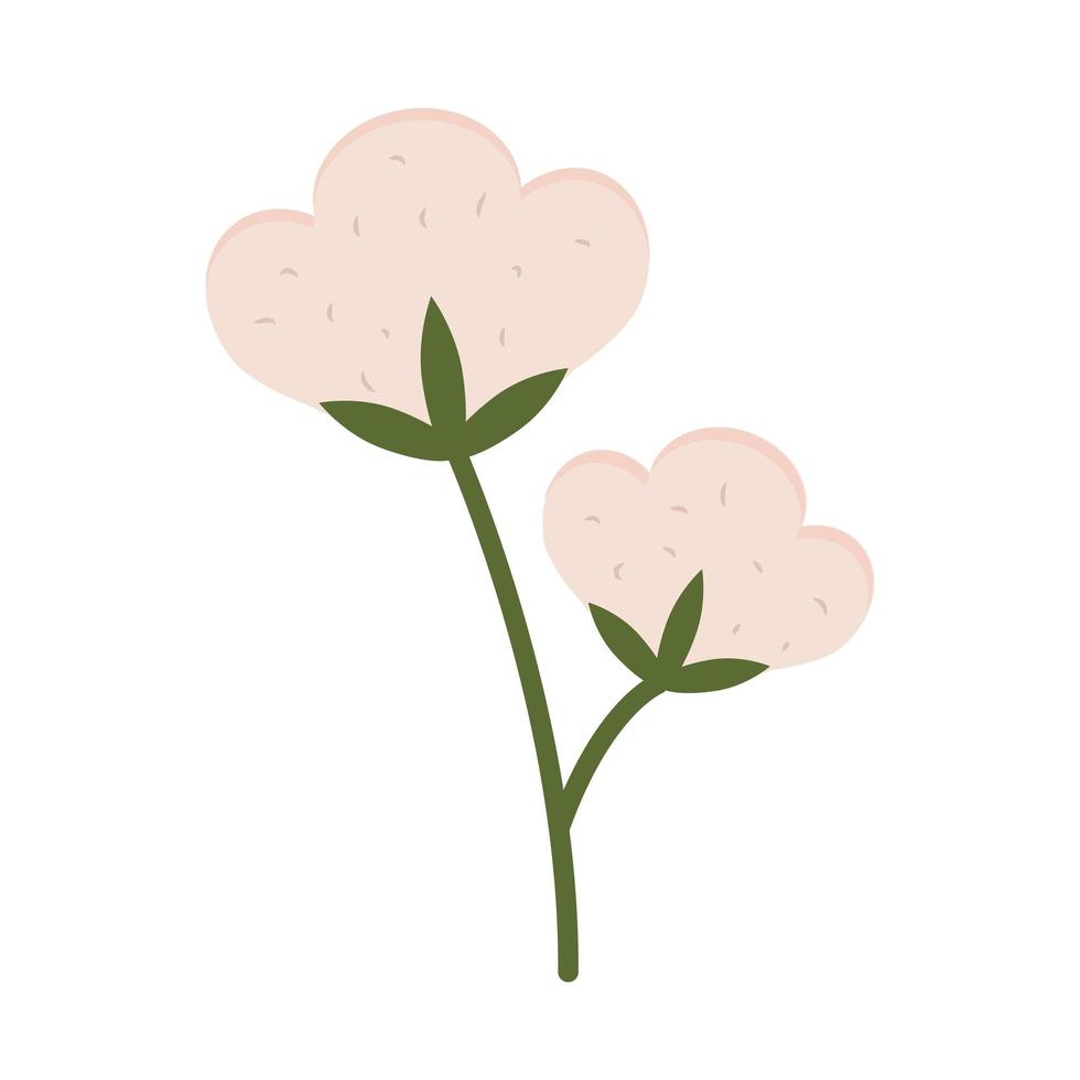 katoenplant bloem vector
