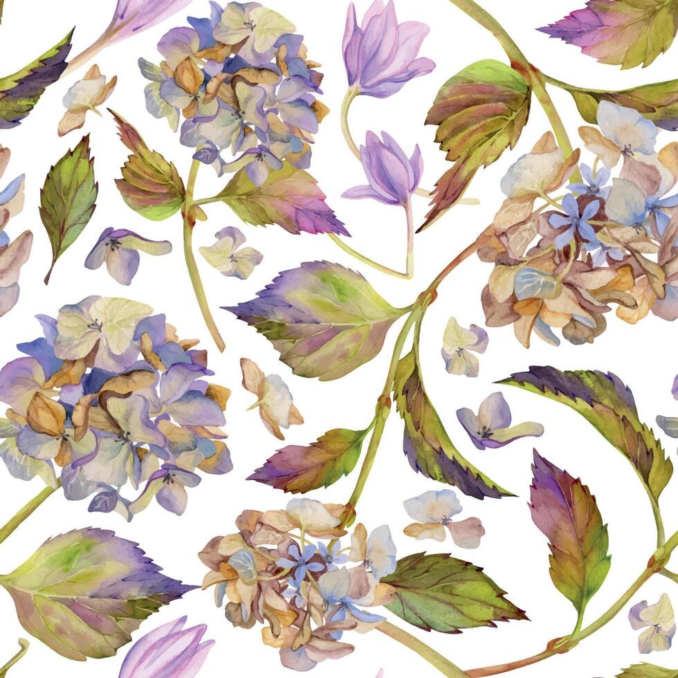 hand- getrokken waterverf illustratie haveloos boho botanisch bloemen bladeren. hortensia hortensia Purper verdord bloeiwijze. naadloos patroon geïsoleerd Aan wit achtergrond. ontwerp bruiloft, liefde kaarten vector