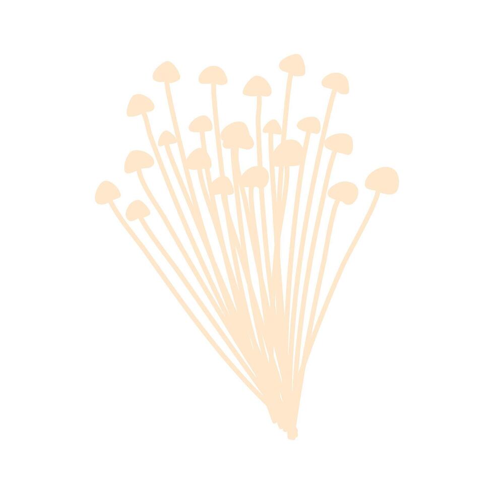 enoki champignons goud naald- enokitaki illustratie vector