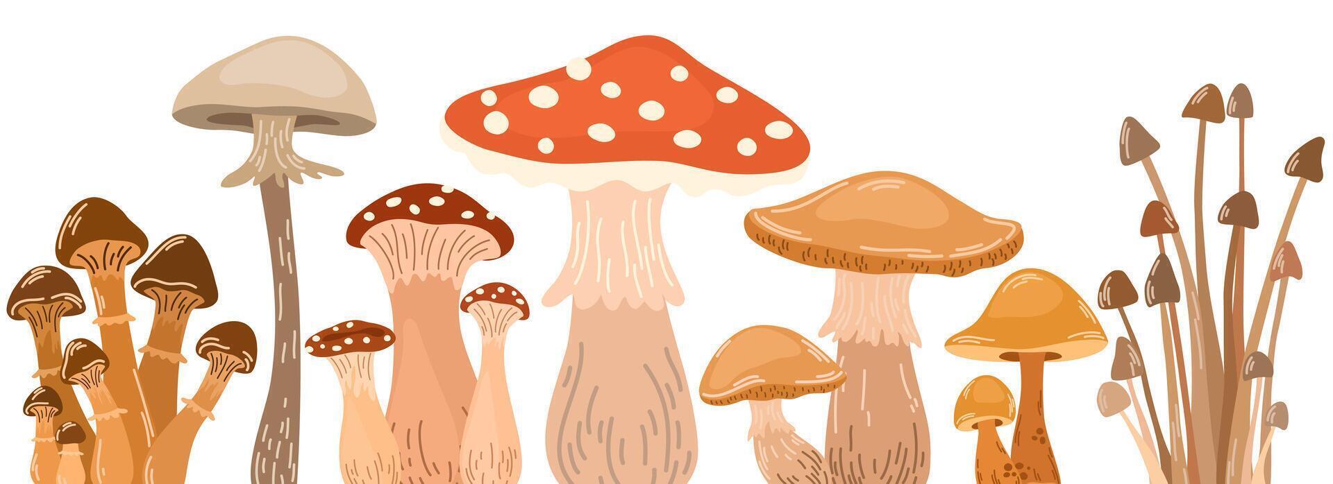 herfst champignons grens decoratie. vallen schimmels, horizontaal decor. Woud voedsel planten, schimmel, boleet, banier ontwerp. modern botanisch decoratief vlak vector illustratie geïsoleerd Aan wit achtergrond