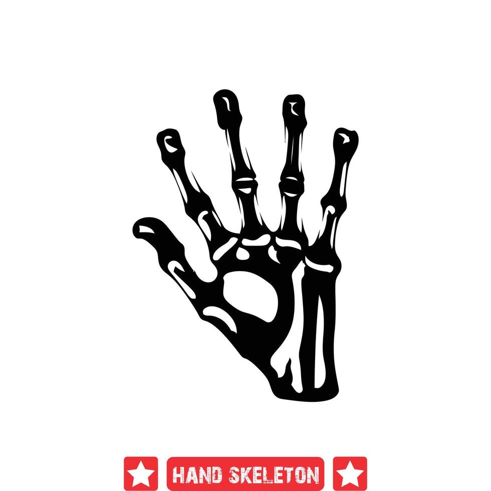 fantoom vingerkootjes delicaat hand- skelet silhouet reeks voor artistiek inspanningen vector