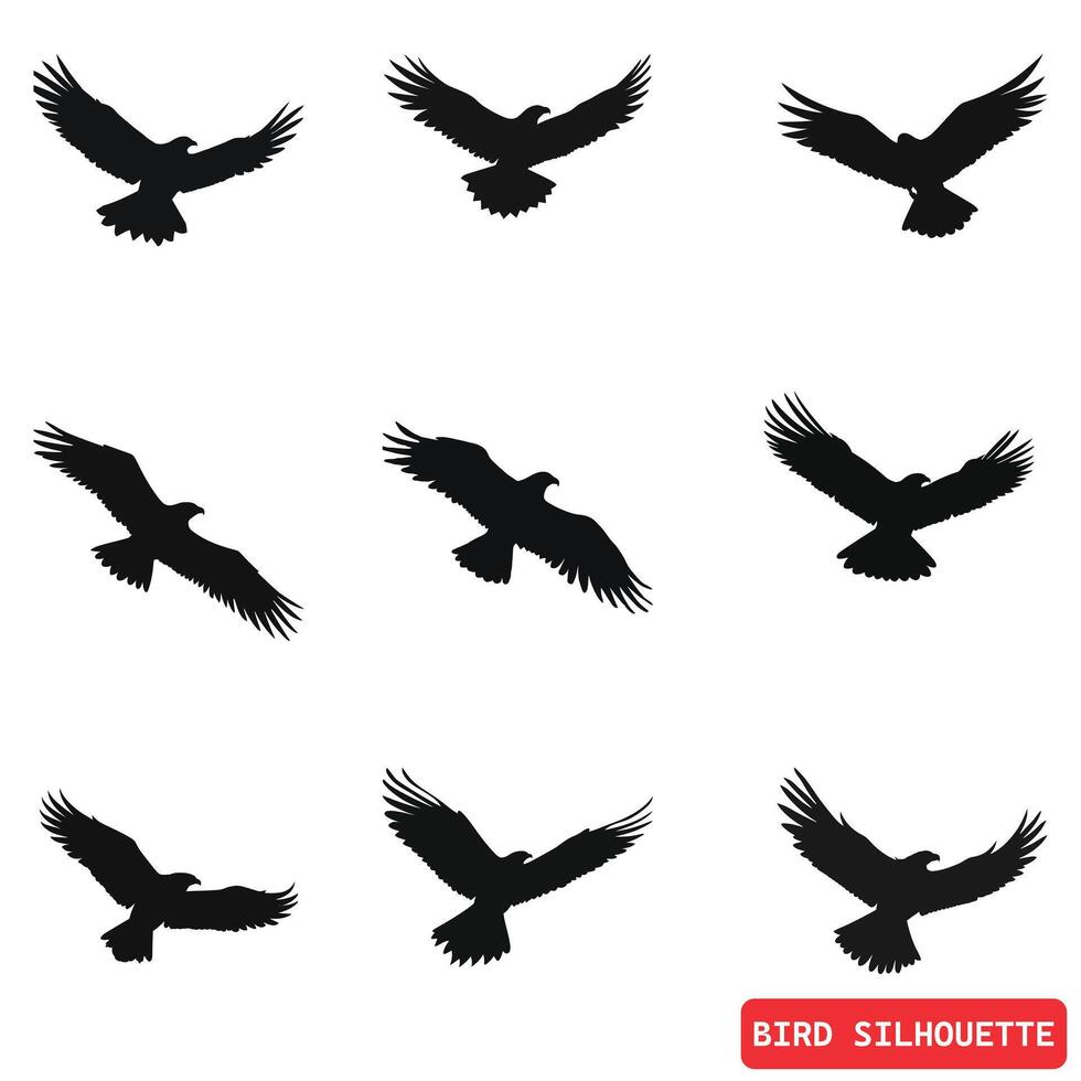 hemelwaarts symfonie mooi vogel vector silhouetten ensemble