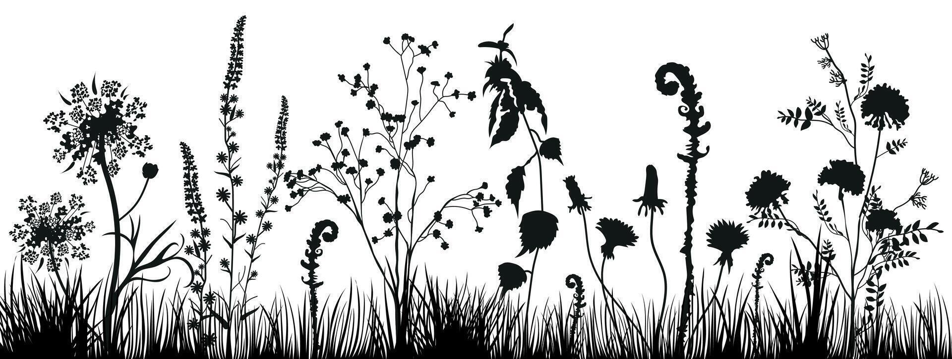 achtergrond met zwart silhouetten van weide wild grassen en wilde bloemen. bloemen achtergrond. natuur decor element voor spandoeken, reclame, brochure, kaarten, uitnodiging, felicitatie en zo Aan. vector