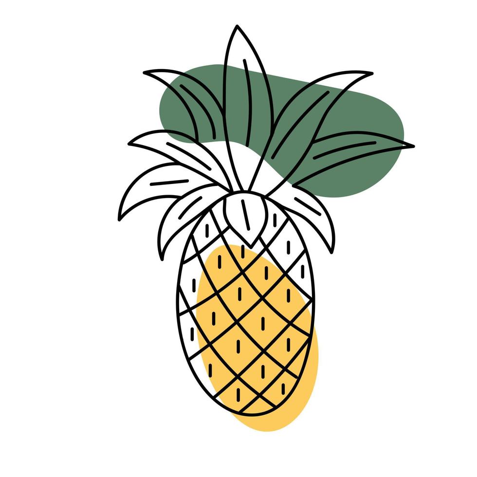 abstract ananasfruit. vector