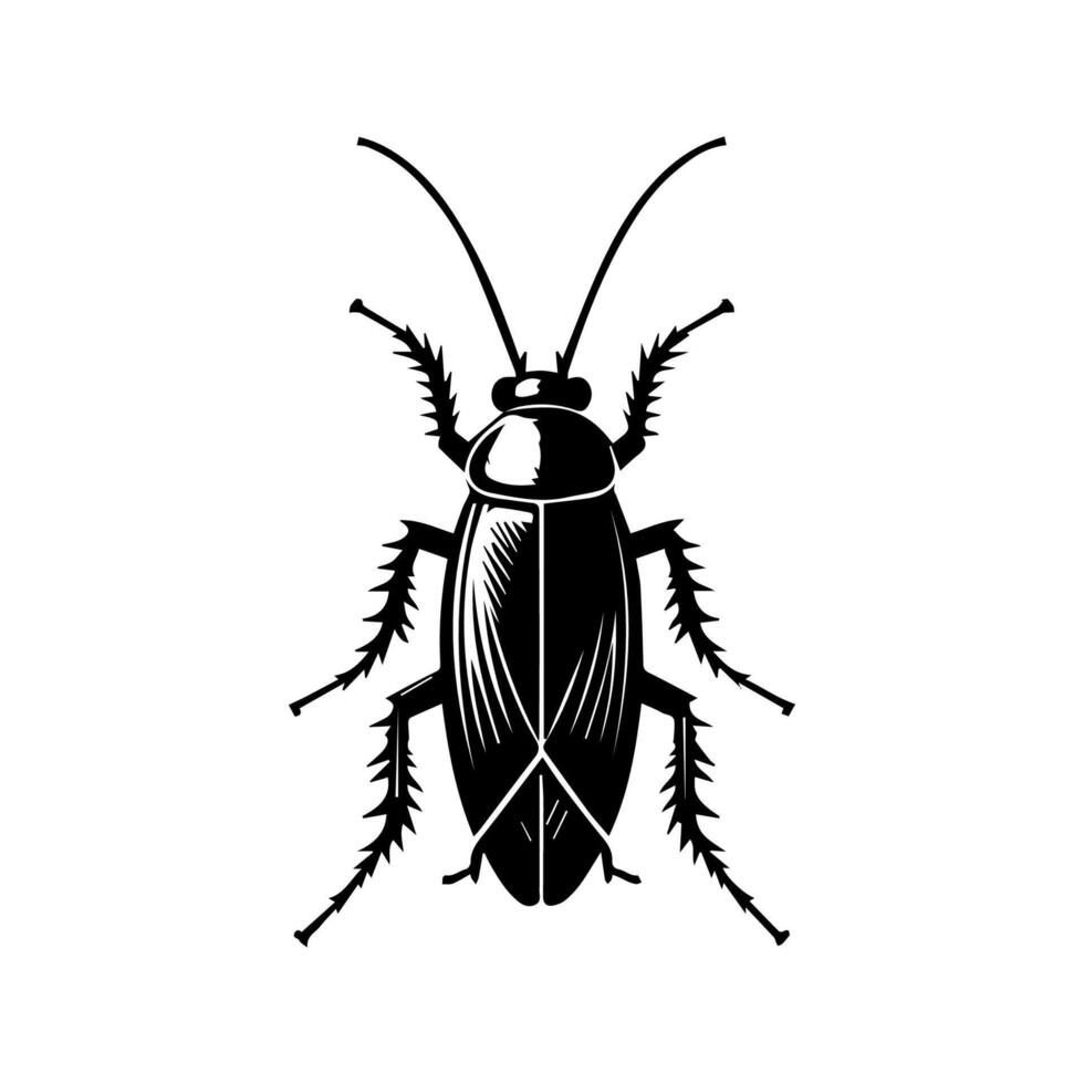 kakkerlak kever vector icoon. kakkerlak silhouet insect zwart icoon illustratie plaag