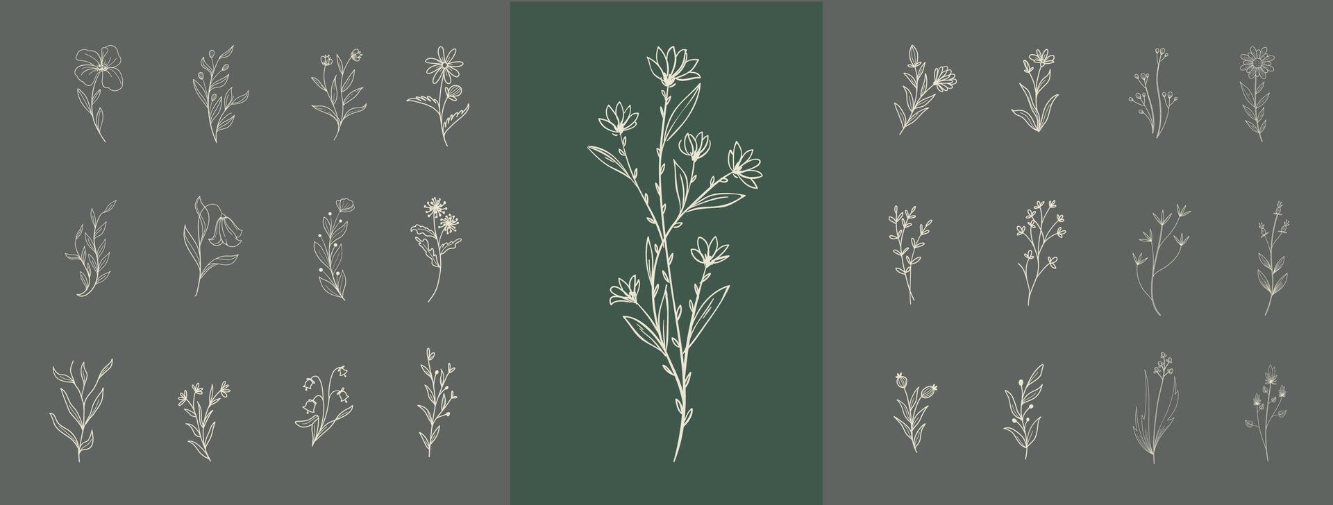 reeks van modieus wilde bloemen en minimalistische bloemen voor logo of decoraties. hand- getrokken lijn bruiloft kruid, elegant bladeren voor uitnodiging opslaan de datum kaart. botanisch rustiek modieus groen vector