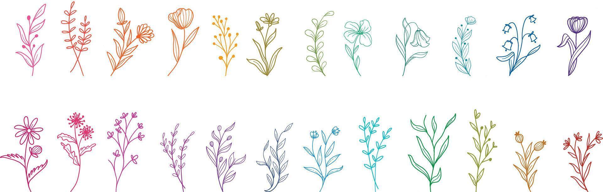 wild bloemen vector verzameling. kruiden, kruidachtig bloeiend planten, bloeiend bloemen, substruiken geïsoleerd Aan wit achtergrond. hand- getrokken gedetailleerd botanisch vector illustratie.