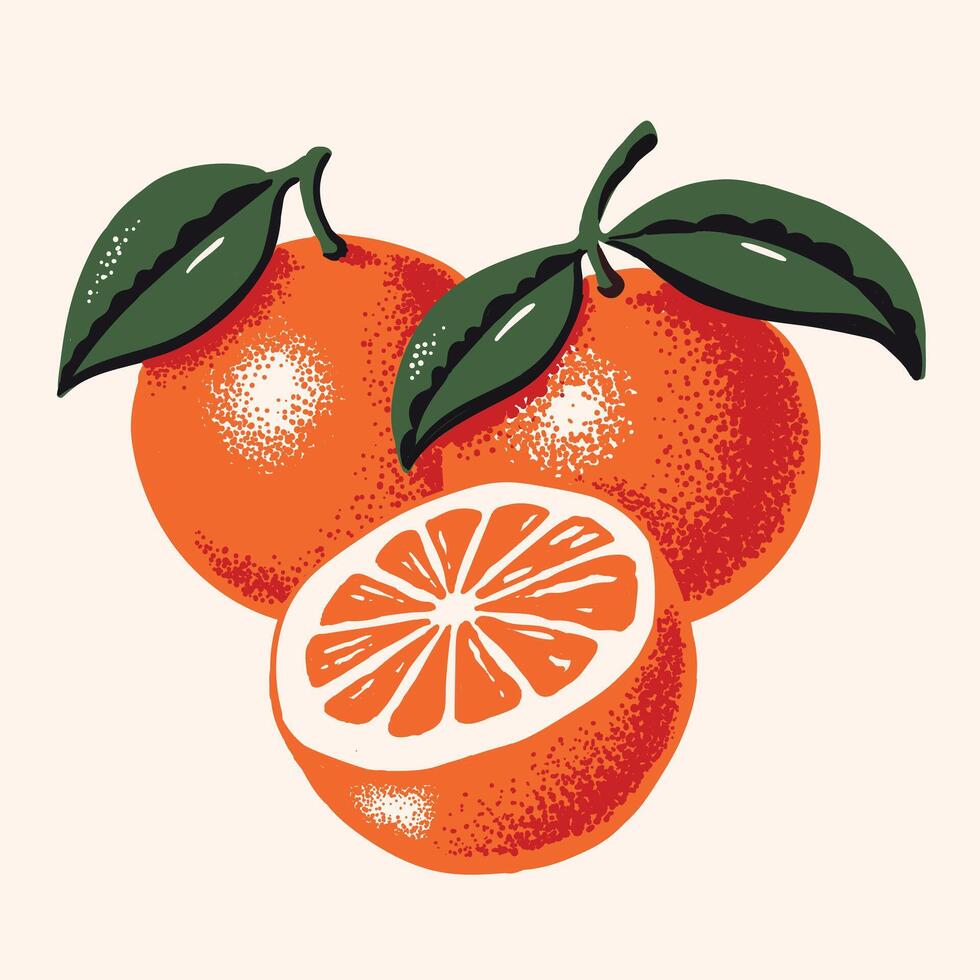 hand- getrokken sinaasappels vector