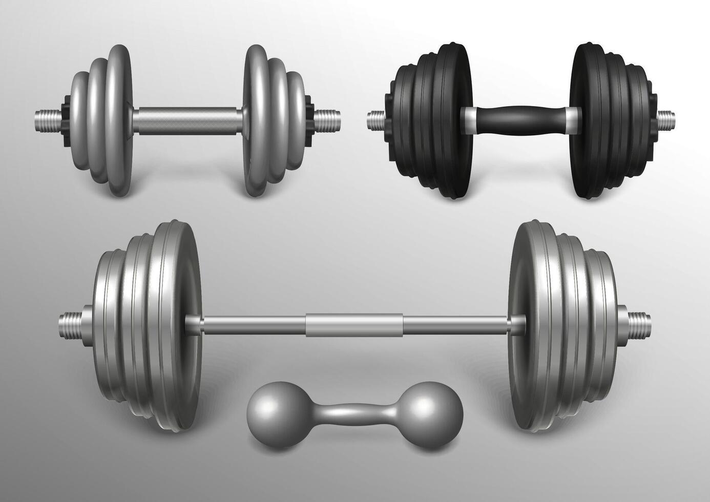 reeks van metaal barbell en laadbaar halters realistisch vector illustratie. zwaar geschiktheid sport gereedschap voor opleiding, gewichtheffen training. gewichtheffen uitrusting en Sportschool uitrusting voor sterk spieren