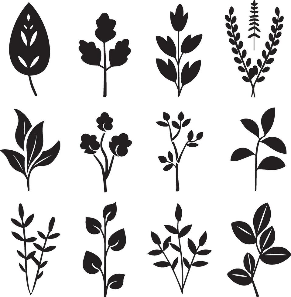 mooi planten met bladeren zwart silhouet vector