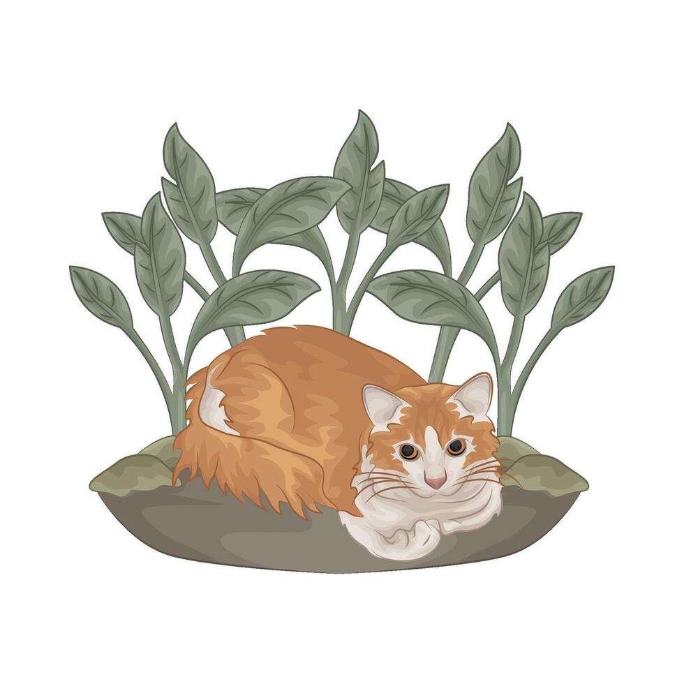 illustratie van kat vector