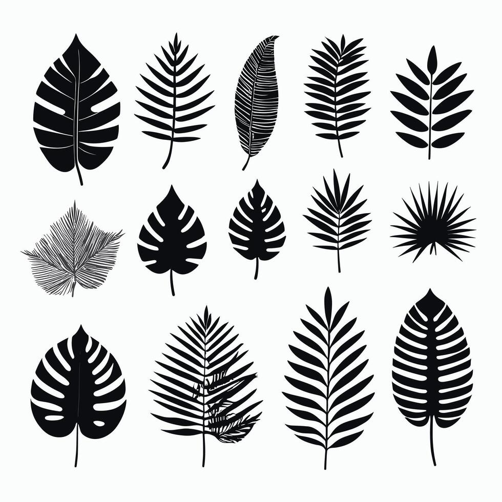 exotisch blad reeks vector verzameling van tropisch bladeren silhouet