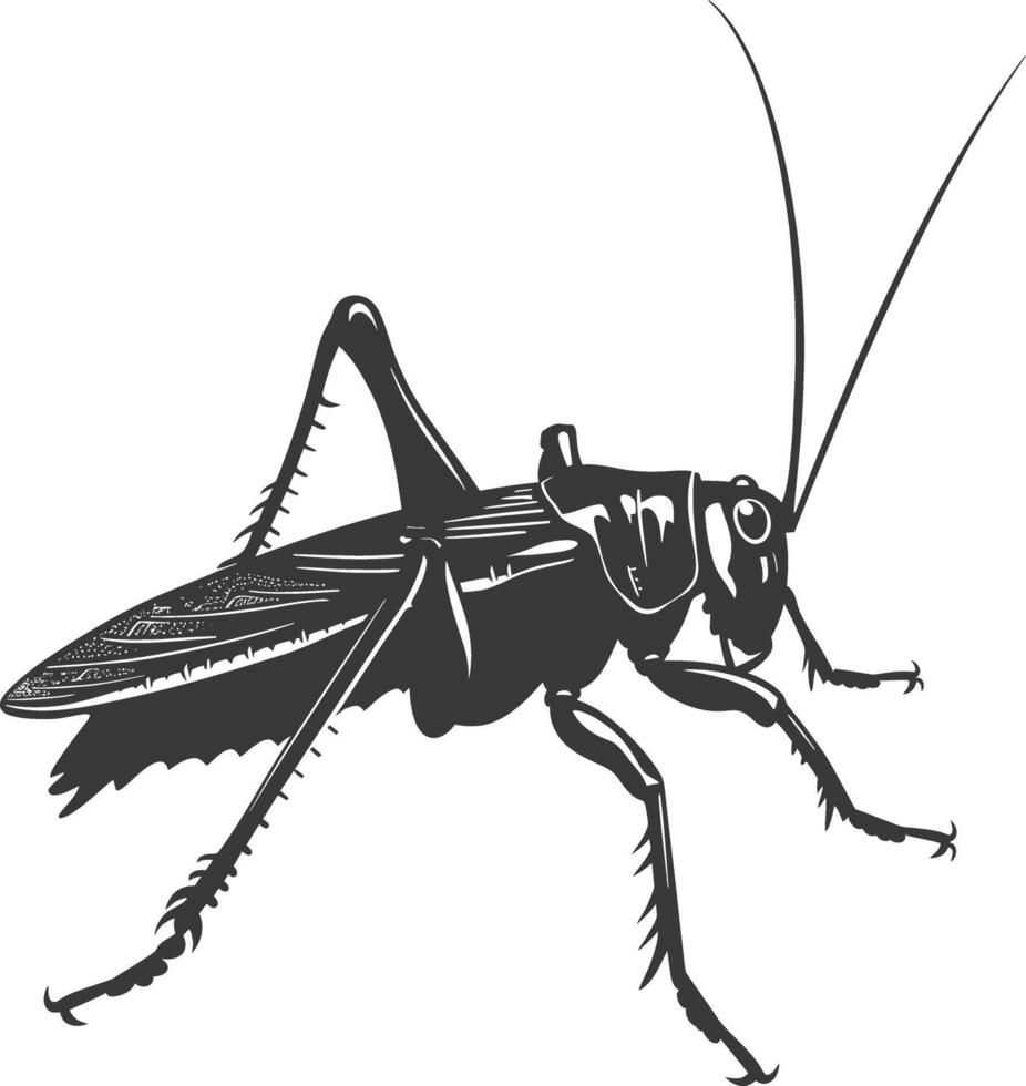 ai gegenereerd silhouet krekel insect dier zwart kleur enkel en alleen vector