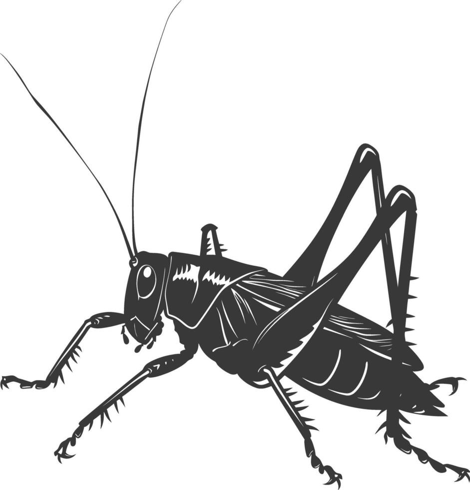 ai gegenereerd silhouet krekel insect dier zwart kleur enkel en alleen vector