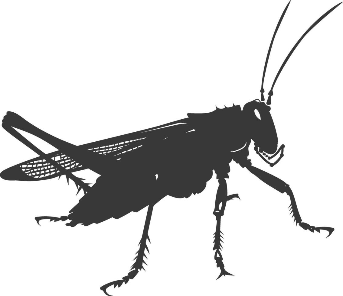 ai gegenereerd silhouet krekel insect dier zwart kleur enkel en alleen vector