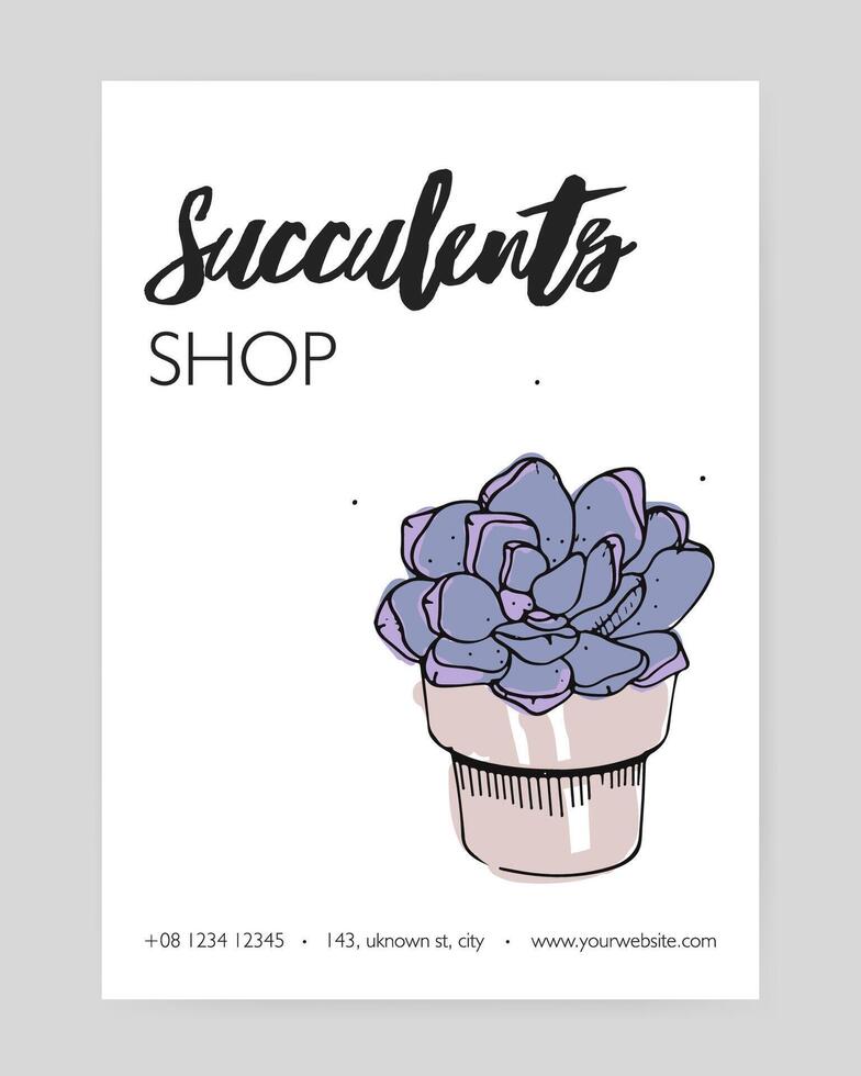 folder sjabloon met hand- getrokken echeveria groeit in klei pot en plaats voor tekst Aan wit achtergrond. steen roos, ingemaakt woestijn plant, decoratief kamerplant. vector illustratie voor sappig winkel advertentie.