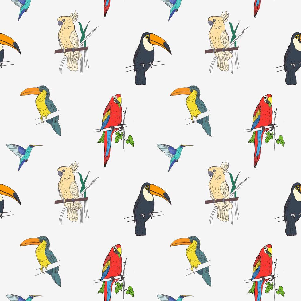 mooi tropisch naadloos patroon met verschillend exotisch vogelstand zittend Aan boom takken en vliegend Aan wit achtergrond. kleurrijk vector illustratie voor behang, kleding stof afdrukken, omhulsel papier.