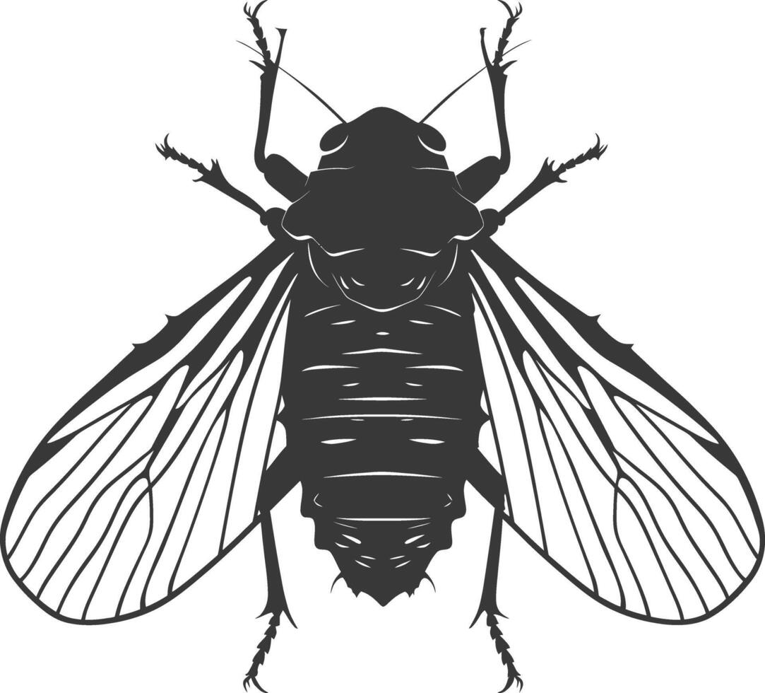 ai gegenereerd silhouet cicade insect dier zwart kleur enkel en alleen vector