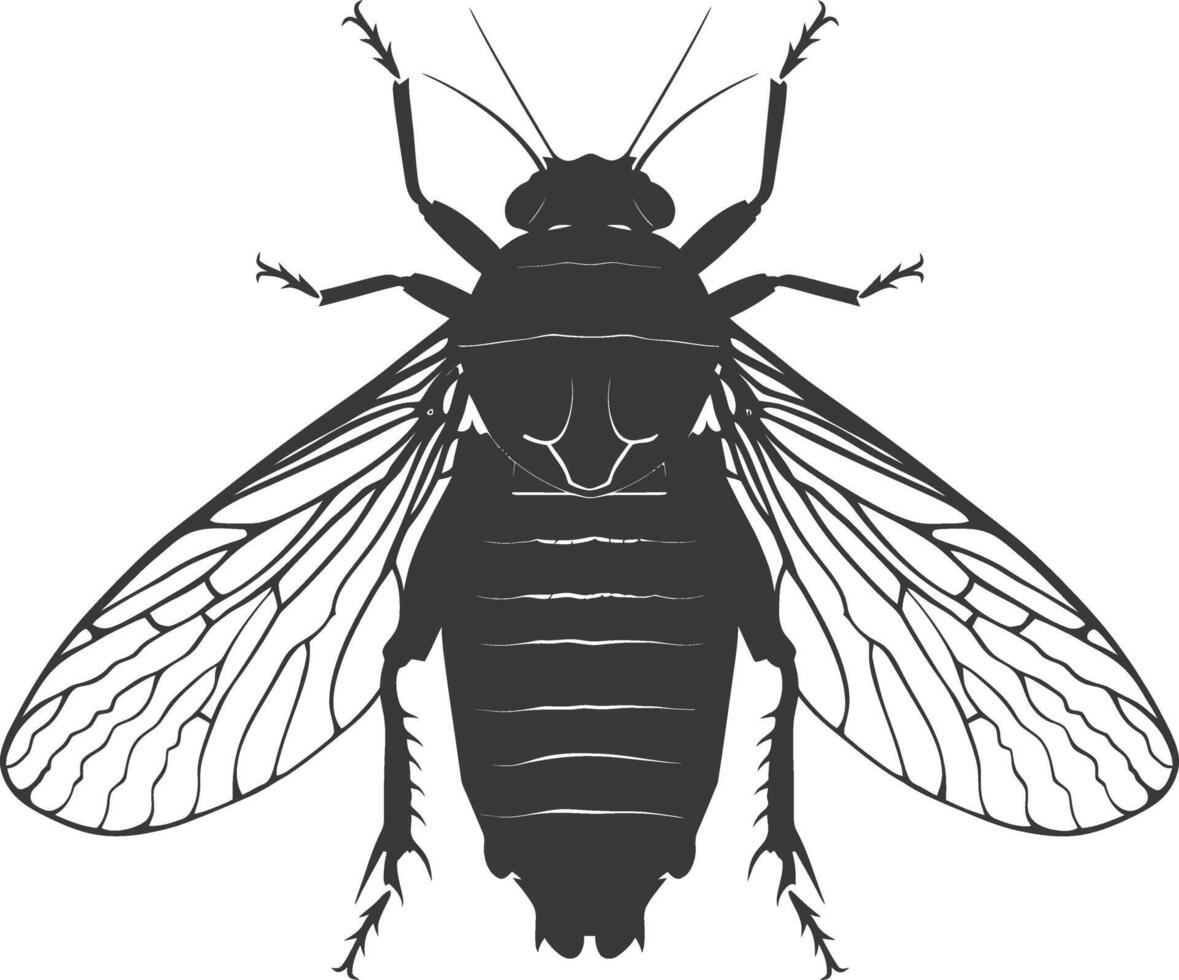 ai gegenereerd silhouet cicade insect dier zwart kleur enkel en alleen vector