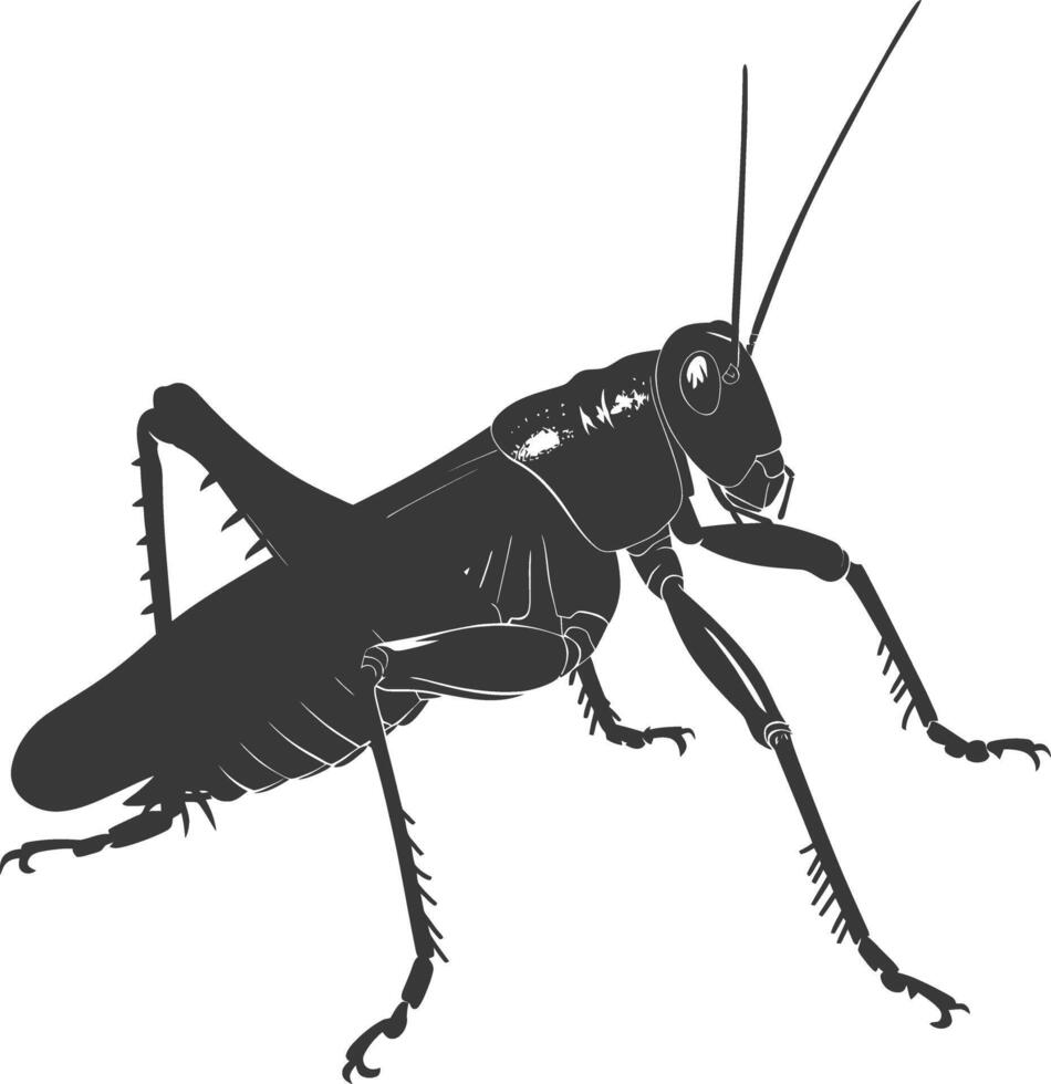 ai gegenereerd silhouet krekel insect dier zwart kleur enkel en alleen vector