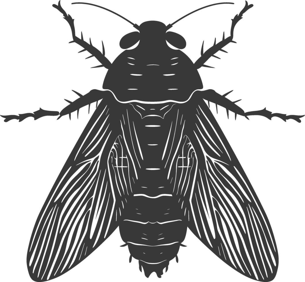 ai gegenereerd silhouet cicade insect dier zwart kleur enkel en alleen vector