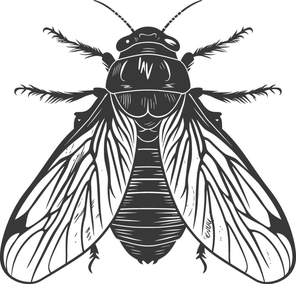 ai gegenereerd silhouet cicade insect dier zwart kleur enkel en alleen vector