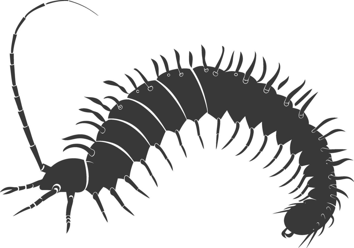 ai gegenereerd silhouet duizendpoot insect dier zwart kleur enkel en alleen vector