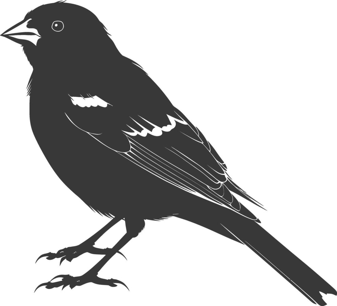 ai gegenereerd silhouet huis mus vogel dier zwart kleur enkel en alleen vector