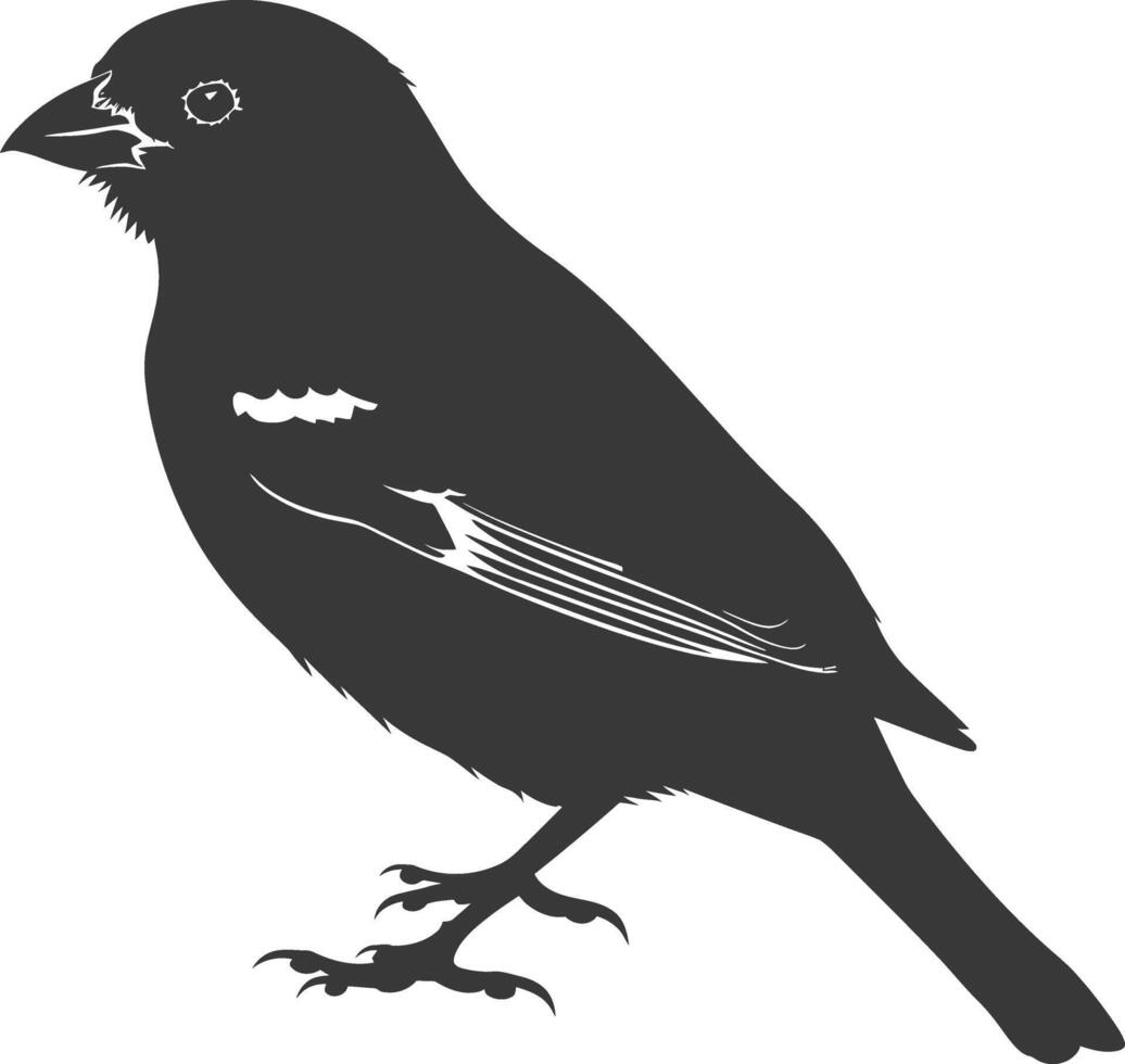 ai gegenereerd silhouet huis mus vogel dier zwart kleur enkel en alleen vector