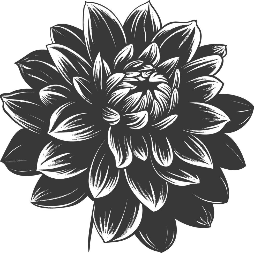 ai gegenereerd silhouet dahlia bloem zwart kleur enkel en alleen vector