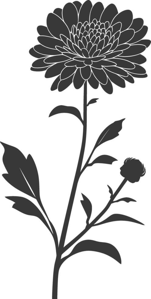 ai gegenereerd silhouet aster bloem zwart kleur enkel en alleen vector