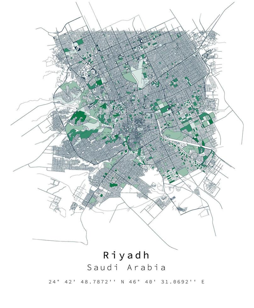 Riyadh , Saoedi-Arabië Arabië stedelijk detail straten wegen kaart ,vector element sjabloon beeld vector